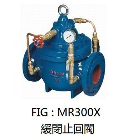 瑞光凡而緩閉止回閥